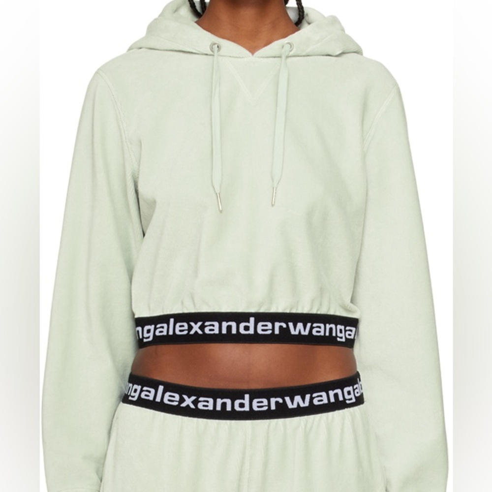 Alexander Wang cropped hoodie NWT